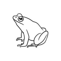 grenouille dessin au trait dessin illustration vecteur