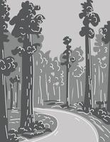 parc national et d'état de redwood dans le nord de la californie dessin au trait monoline dessin en niveaux de gris vecteur