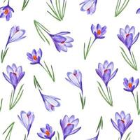 fleurs de crocus violet aquarelle motif sans couture fleurs de printemps pour la décoration vecteur