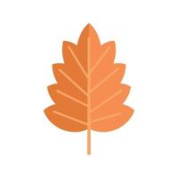 vecteur plat d'icône de feuille de feuillage. automne