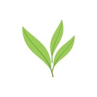 vecteur plat d'icône de sauge. plante à feuilles