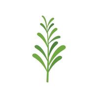 vecteur plat d'icône de romarin vert. plante herbacée