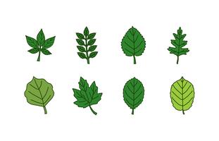 Jeu d'icônes de feuilles vecteur