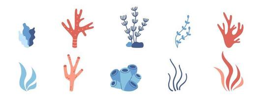 collection de plantes aquatiques vectorielles avec coraux, algues et algues. ensemble marin avec des plantes marines et océaniques. vecteur