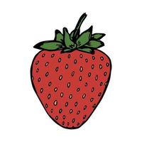 vecteur clipart fraise. icône de baies dessinées à la main. illustration de fruits. pour l'impression, le web, le design, la décoration