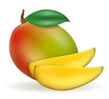 mangue fruits exotiques mûrs frais vecteur