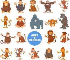 dessin animé singes et singes personnages animaux grand ensemble vecteur