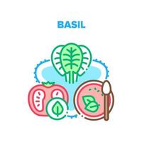 illustration de couleur de concept de vecteur d'épices de basilic