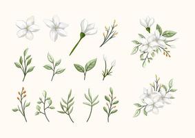 fleur de beauté blanche de jasmin avec des feuilles pour bouquet pour mariage amour romance