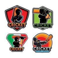 logo de sport de cricket vecteur