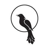 oiseau logo illustrations vectorielles design icône logo vecteur