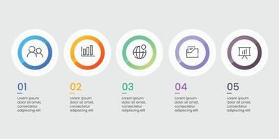 modèle d'infographie moderne en cinq étapes vecteur