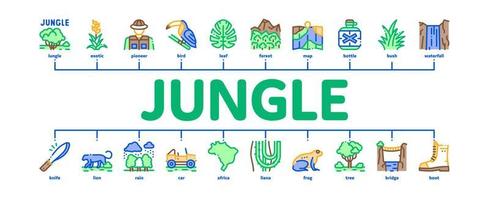 jungle tropicale forêt minimal infographie bannière vecteur plat