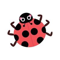 coccinelle mignonne avec de grands yeux et joues. insecte de forêt ou de jardin, insecte pour les enfants. drôles de personnages enfantins. animal de la nature pour les impressions, les vêtements, les autocollants, le textile, la douche de bébé. vecteur