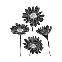 collection d'art de fleurs naturelles à base de plantes florales en style silhouette. illustration élégante de beauté décorative pour un design floral dessiné à la main vecteur