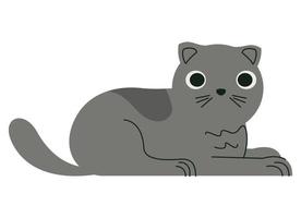 mignon petit chat gris vecteur