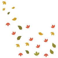 automne érable chute feuilles illustration vectorielle vecteur