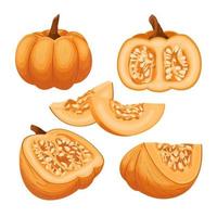 citrouille halloween orange ensemble dessin animé illustration vectorielle vecteur
