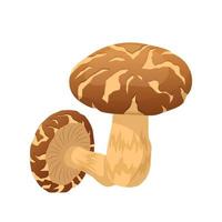 ecteur de dessin animé de champignon shiitake vecteur