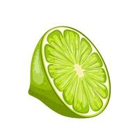 illustration de vecteur de dessin animé frais citron vert