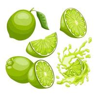 ensemble de fruits vert citron illustration vectorielle de dessin animé vecteur