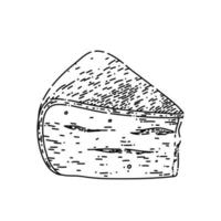 croquis de fromage gouda vecteur dessiné à la main