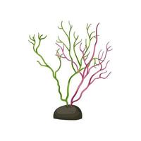 illustration vectorielle de dessin animé de plantes d'aquarium nature vecteur