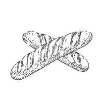 pain français croquis vecteur dessiné à la main