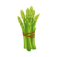 illustration vectorielle de dessin animé vert asperge vecteur