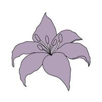 tête de fleur de lilly pour la conception vecteur