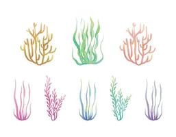 ensemble d'algues dégradées corail sous l'eau graphiques aquarelles pastel 02 vecteur