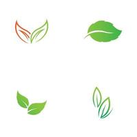 création de logo vectoriel feuille d'arbre, concept écologique