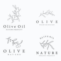 modèle de logo botanique feuille d'olivier naturel dessiné à la main et fruit .herbal, huile d'olive, cosmétique ou beauté. vecteur