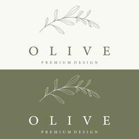 modèle de logo botanique feuille d'olivier naturel dessiné à la main et fruit .herbal, huile d'olive, cosmétique ou beauté. vecteur