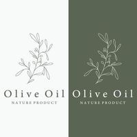 modèle de logo botanique feuille d'olivier naturel dessiné à la main et fruit .herbal, huile d'olive, cosmétique ou beauté. vecteur