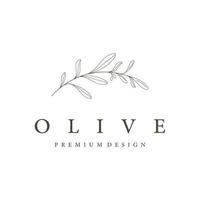 modèle de logo botanique feuille d'olivier naturel dessiné à la main et fruit .herbal, huile d'olive, cosmétique ou beauté. vecteur