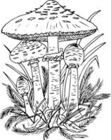 champignons de griffonnage. différents champignons poussent sur la souche et autour de fleurs sauvages. coloration vectorielle. vecteur