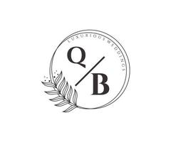 modèle de logos de monogramme de mariage lettre initiales qb, modèles minimalistes et floraux modernes dessinés à la main pour cartes d'invitation, réservez la date, identité élégante. vecteur