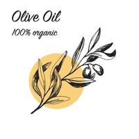 arrangements d'olives en vecteur