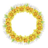 couronne de cercle dessinée à la main à l'aquarelle avec fleurs printanières, jonquilles, crocus, perce-neige, feuilles. isolé sur fond blanc. conception pour les invitations, mariage, cartes de voeux, papier peint, impression, textile. vecteur