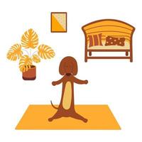 le teckel pratique le yoga sur un tapis de yoga. dessin animé de vecteur