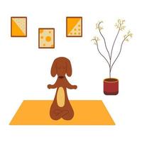 teckel pratique le yoga et médite. dessin animé de vecteur