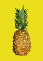 illustration colorée de fruits d'ananas frais ou style dessiné à la main. vecteur