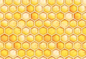 papier peint design. motif hexagonal. motif en nid d'abeille sur fond jaune. texture vectorielle continue. vecteur
