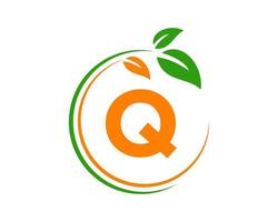 concept de logo eco lettre q avec symbole de feuille vecteur