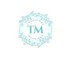 tm initiales lettre modèle de logos de monogramme de mariage, modèles minimalistes et floraux modernes dessinés à la main pour cartes d'invitation, réservez la date, identité élégante. vecteur