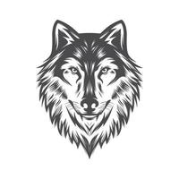 illustration vectorielle de tête de loup. vecteur de stock de logo vintage de loup.