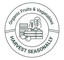 fruits et légumes bio récoltés en saison vecteur