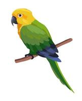 perroquet coloré assis sur une branche, oiseau portrait vecteur