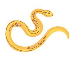 reptiles et serpents tropicaux, serpents jaunes vecteur